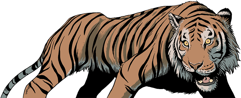 Clipart Tiger Wild Animals - Illustration (1600x332)