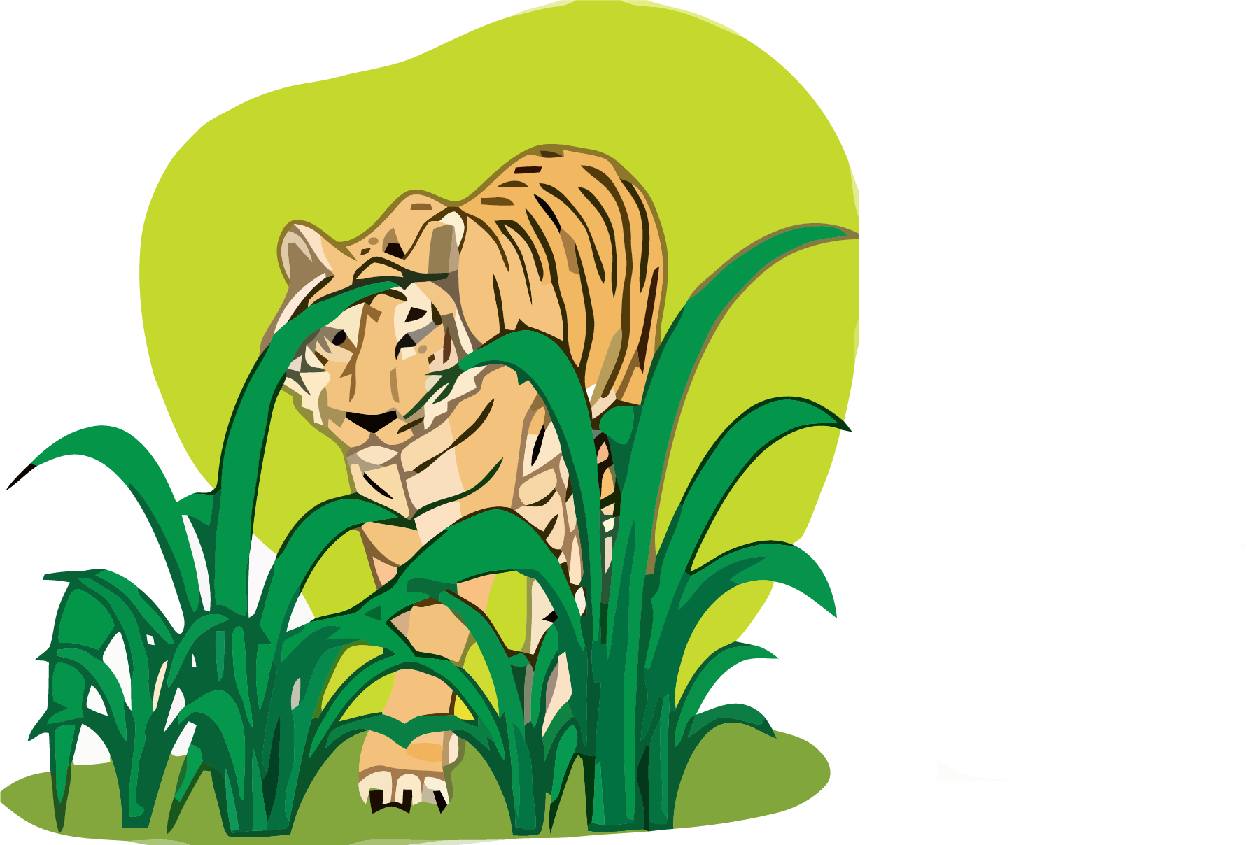 Tiger Clipart Png - Cartoon (1782x1208)
