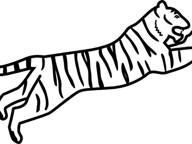 Tiger Clipart Jumping - Easy Drawing Of A Tiger (640x480)