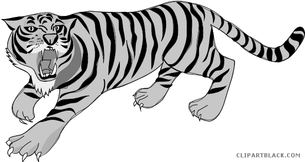 White Tiger Clipart Tiger School - Tiger Roar Clipart (600x323)