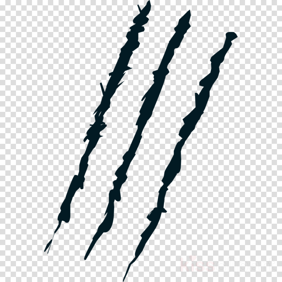 Claw Marks Transparent Clipart Clip Art - Transparent Background Claw Marks Png (900x900)