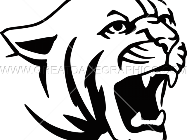 Original - Drawing Cougar (640x480)