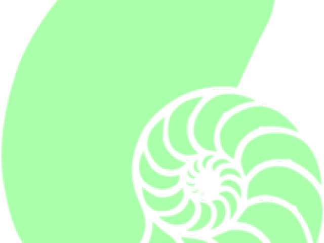 Shell Clipart Green - Circle (640x480)