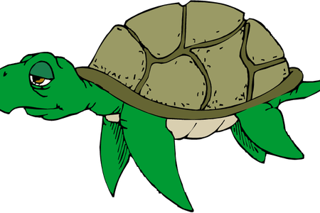 Images Of Cartoon K Pictures Full Hq - Sad Sea Turtle Clipart (450x300)