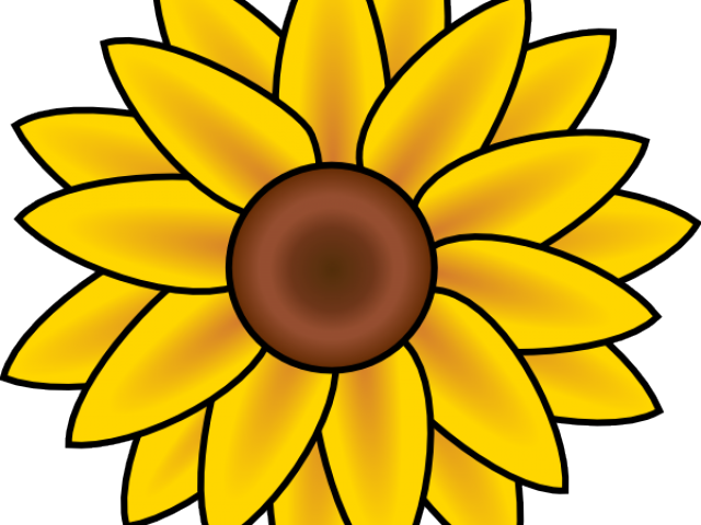 Sunflower Clipart Wildflower - Easy Drawings Of A Sunflower (640x480)