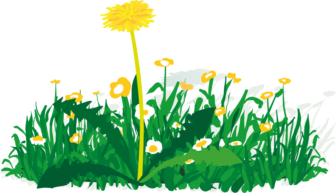 Wiese Loewenzahn - Haltestelle Clipart (1206x738)