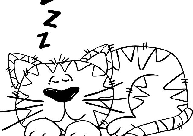 Katzenrassen - Cat Sit Clipart Black And White (640x450)