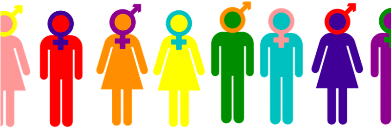 Gender R Evolution Recognizing Trans And Intersex Ⓒ - Gender And Sexuality Png (800x445)