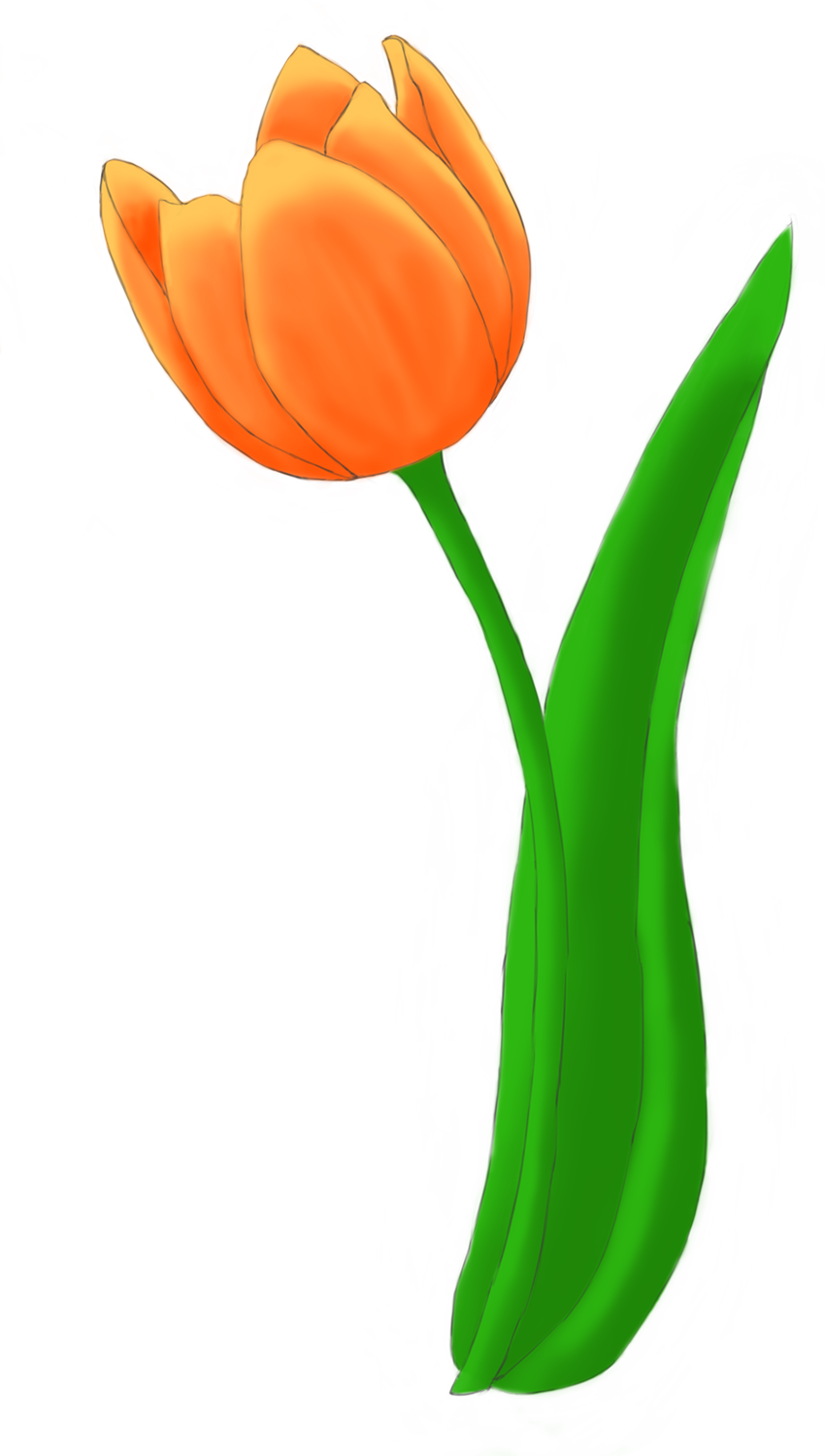 Tulips Flower Bundle Transpa Png Clipart Free Ya - Tulip (850x1500)