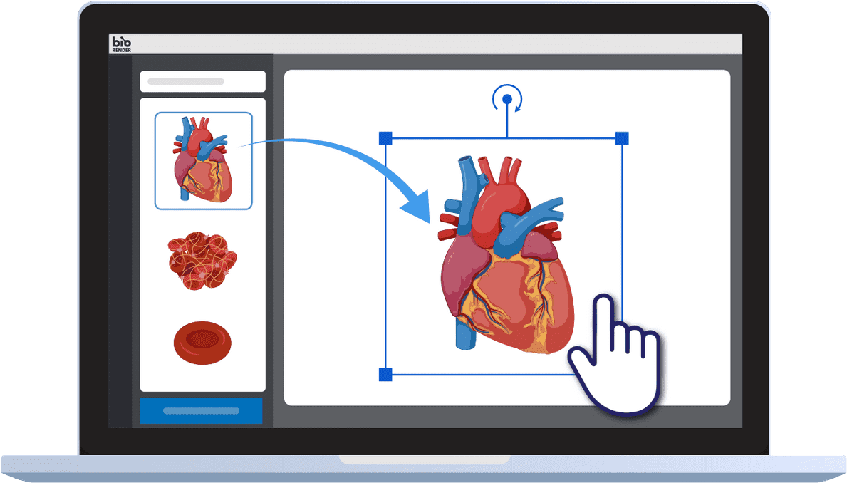 Drag And Drop Science Icons To Create Science Figures - Slam Dunk (1200x1015)