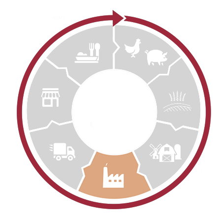 Control Integral Del Ciclo Genética Alimentación Animal - Control Integral Del Ciclo Genética Alimentación Animal (470x446)