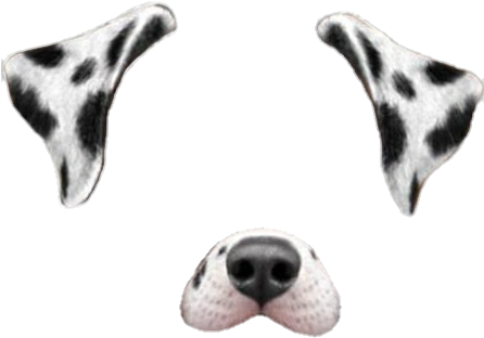Png-trash Dog Filter Png🐶 Please Like If - Filtros De Snapchat Png (445x467)
