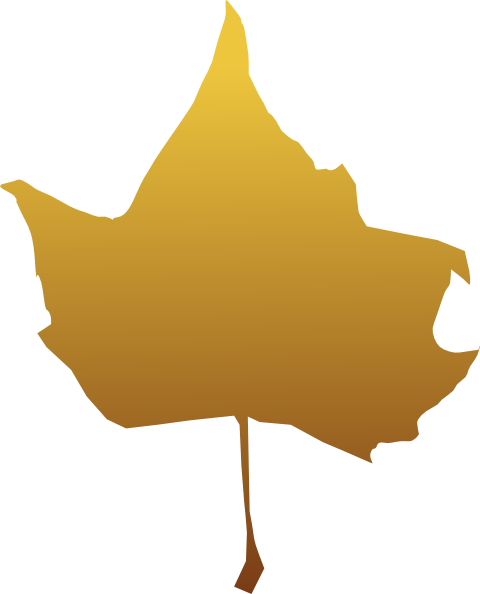 Maple Leaf Free Clip Art, - Clip Art (480x594)