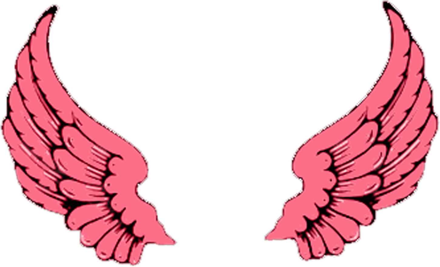 Pinkwings - Transparent Tumblr Wings (1774x1800)