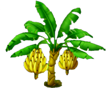 Hurricane Harvey Help - Banana Tree Png File (439x330)