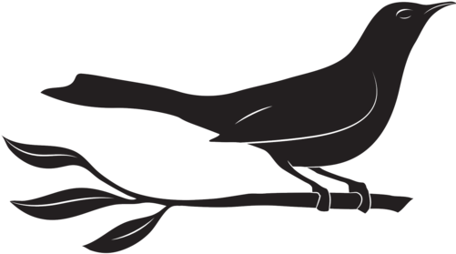 Junebaby Restaurant In Seattle Has Created A Southern - Junebaby Logo (500x285)