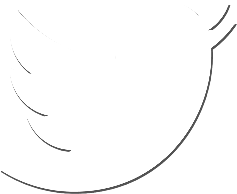 Twitter Logo Transparent - White Twitter Logo No Background (1024x1024)