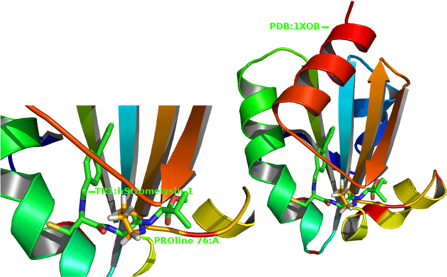 Secreted Trx May Participate In Removing Inhibitors - Graphic Design (899x567)