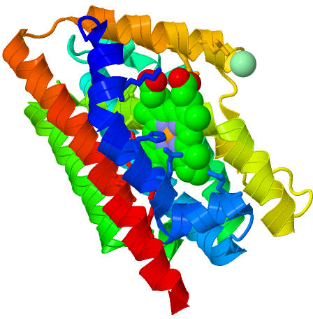 Crystal Structure Of Human Heme Oxygenase 1 - Crystal Structure Of Human Heme Oxygenase 1 (448x456)