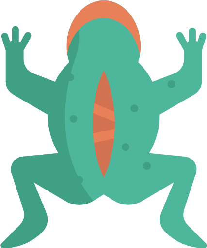 Vivisection Free Icon - Vivisection Clipart (512x512)