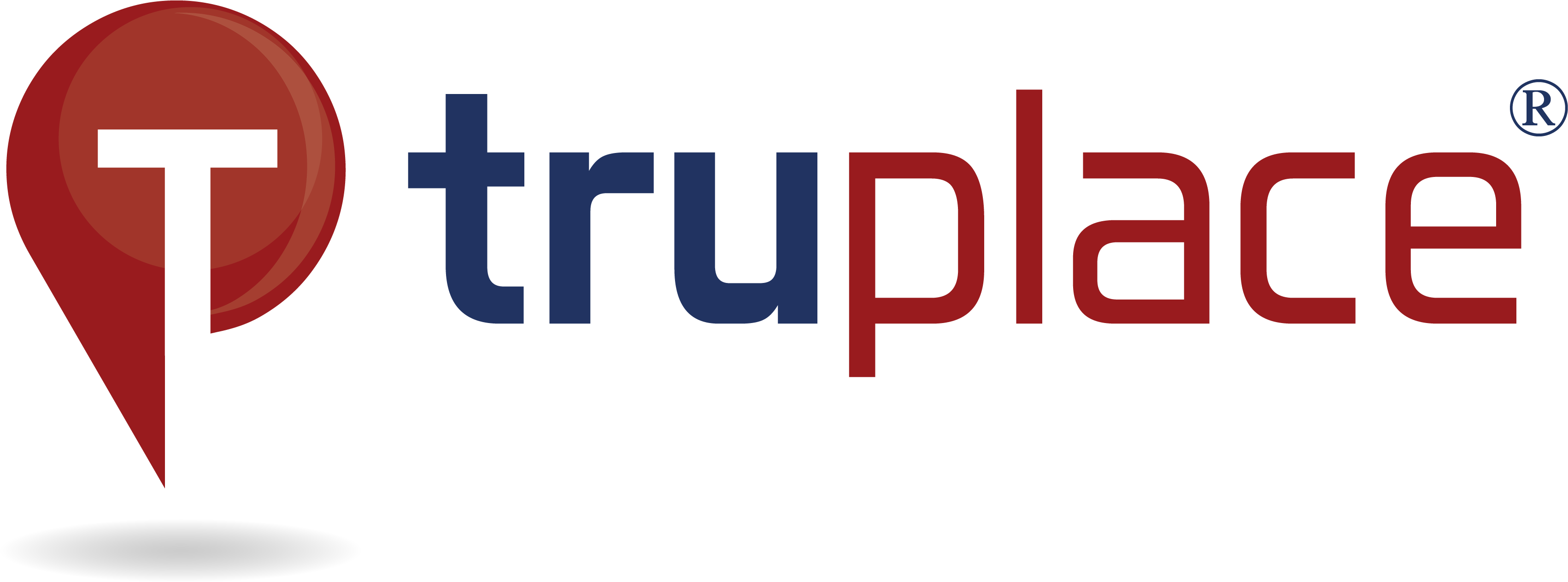 Truplace Hires Floor Plan Marketing President Tony - Graphic Design (3410x1262)