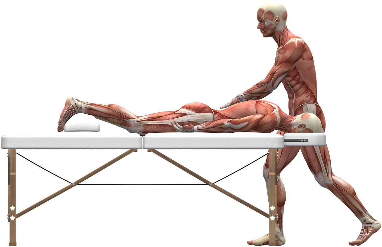 Massage Therapy - Sports Massage (1280x823)