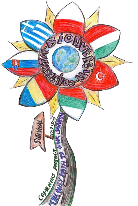 Biodiversity Provides So Many Benefits Such - Comenius Project (484x686)