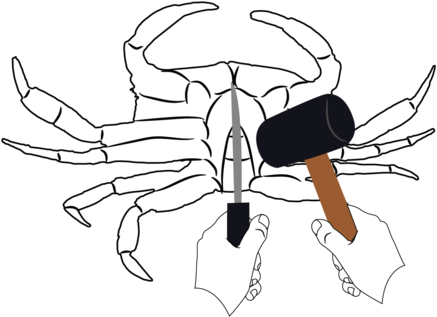 500 X 436 2 - Cancer (500x436)