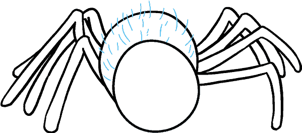 678 X 600 8 - Spider Black And White Cartoon Png (678x600)