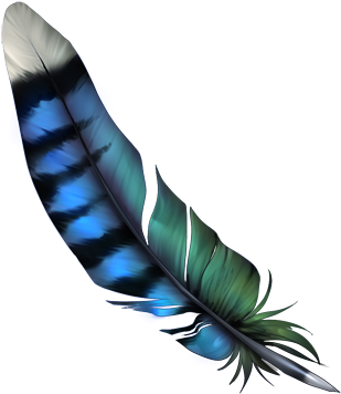 332 X 400 3 - Bluejay Feather Png (332x400)