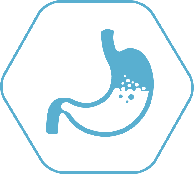 Let's "break It Down" - Digestion (620x555)