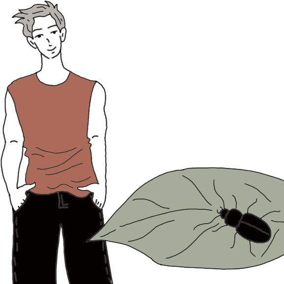 Picture Black And White Download Beetle Dream Dictionary - Black Widow (600x600)