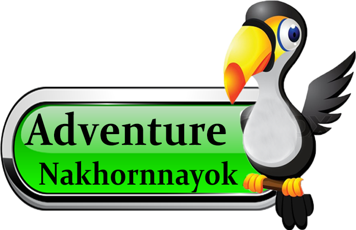 Ox Clipart Oxcart - Seabird (700x481)