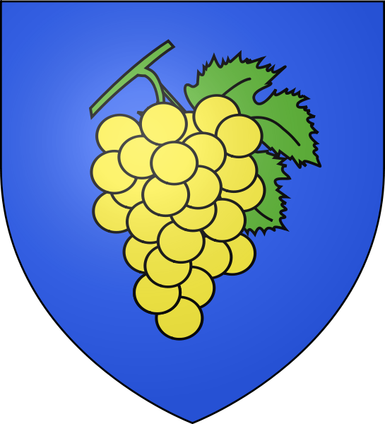 Blason Famille Fr Schneider - Blason Schneider (545x600)