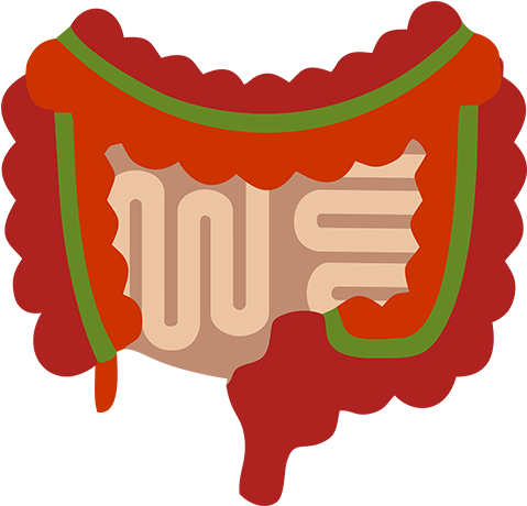 Ultrasound Has Become A Popular Diagnostic Method Among - Ultrasound Has Become A Popular Diagnostic Method Among (500x585)