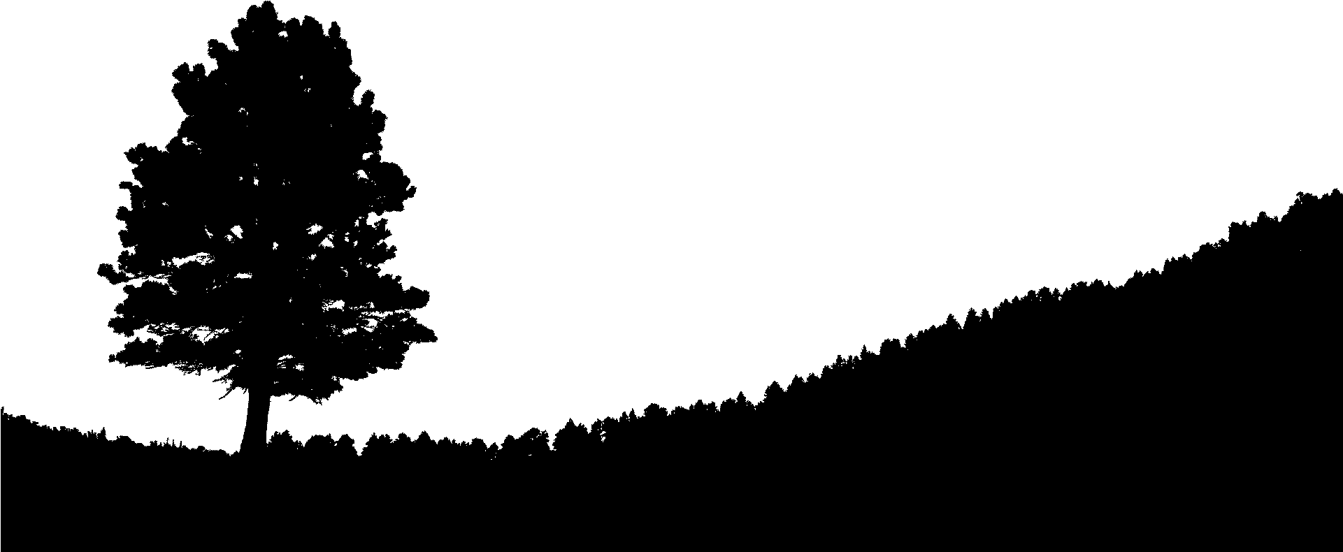 Graphic Black And White Library Silhouette At Getdrawings - Hill And Tree Silhouette (1920x1080)