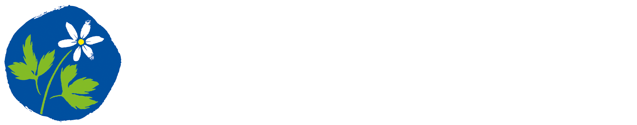 Nyheter Kristdemokraterna Tibro - Christian Democrats (2231x439)