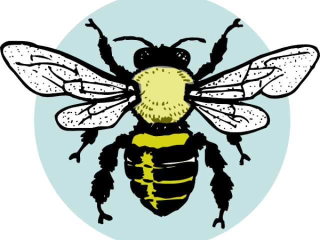 Bumblebee Clipart Vintage Bee - Bee Clip Art Free Black And White (640x480)
