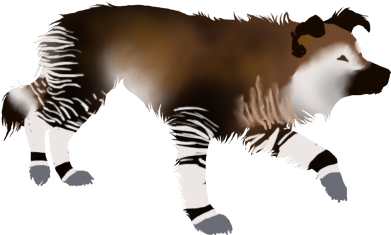 Okapi - - Cat Jumps (475x538)