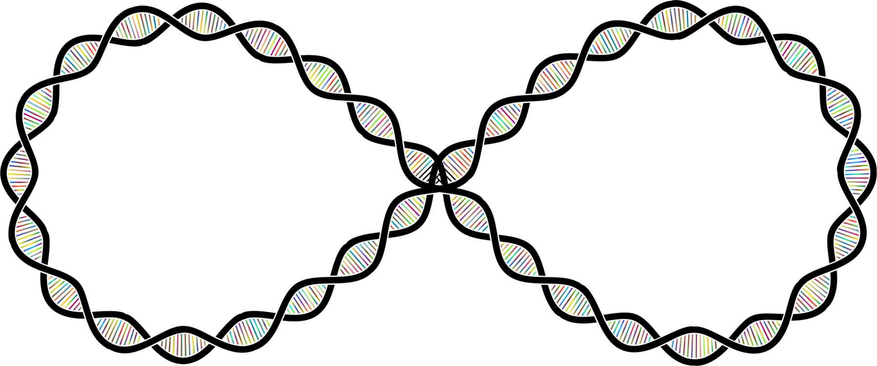 A&a Photography Jewellery Ring Party - Cold Spring Harbor Laboratory Logo (1797x750)