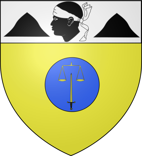 The Town And The Coatof Arms Of The Town - Vico Coat Of Arms (500x550)