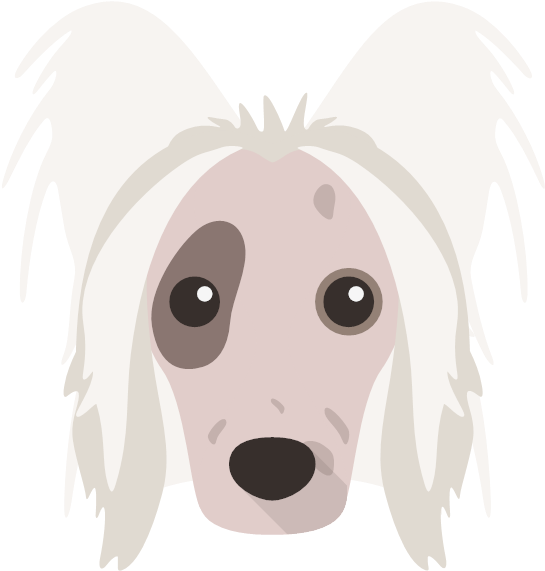 Just For Hairless Chinese Cresteds - Companion Dog (600x600)