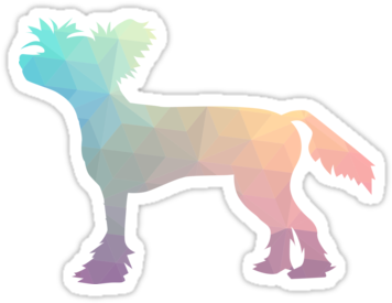 Chinese Crested Colorful Geometric Pattern Silhouette - Companion Dog (375x360)