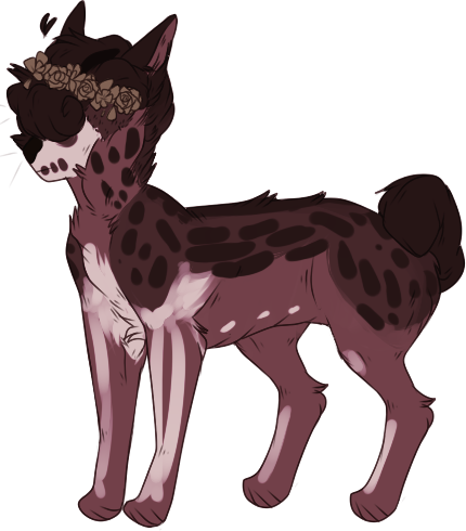 Picture - Chinese Crested Dog (430x490)