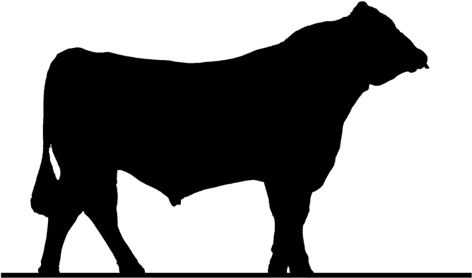 Ox Clipart Cow Herd - Ox Clipart Cow Herd (700x524)