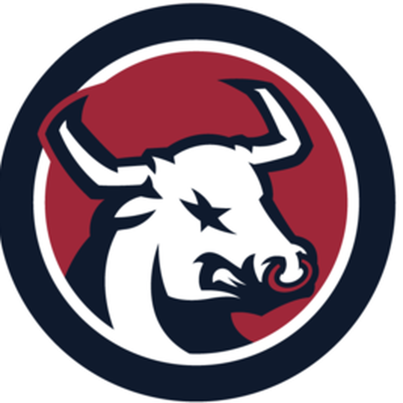 Ox Clipart Frenzied - Houston Texans (1400x1400)