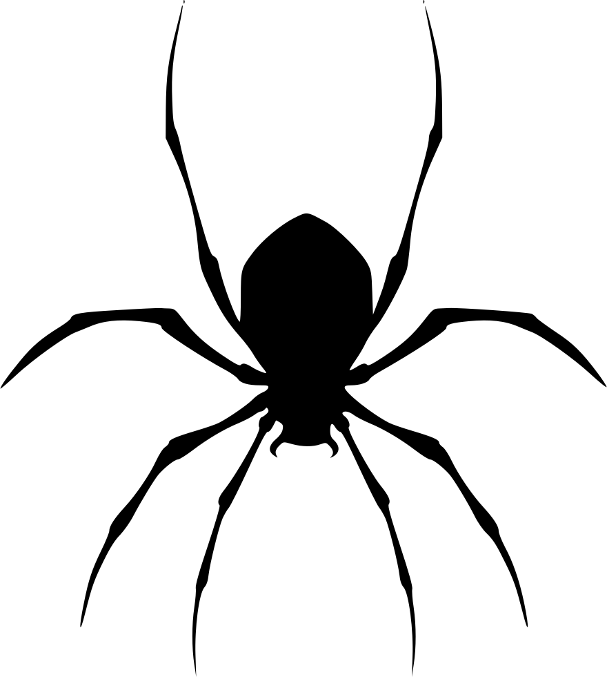 From Free Software To Adobe Photoshop And Illustrator - Spider Svg (880x980)