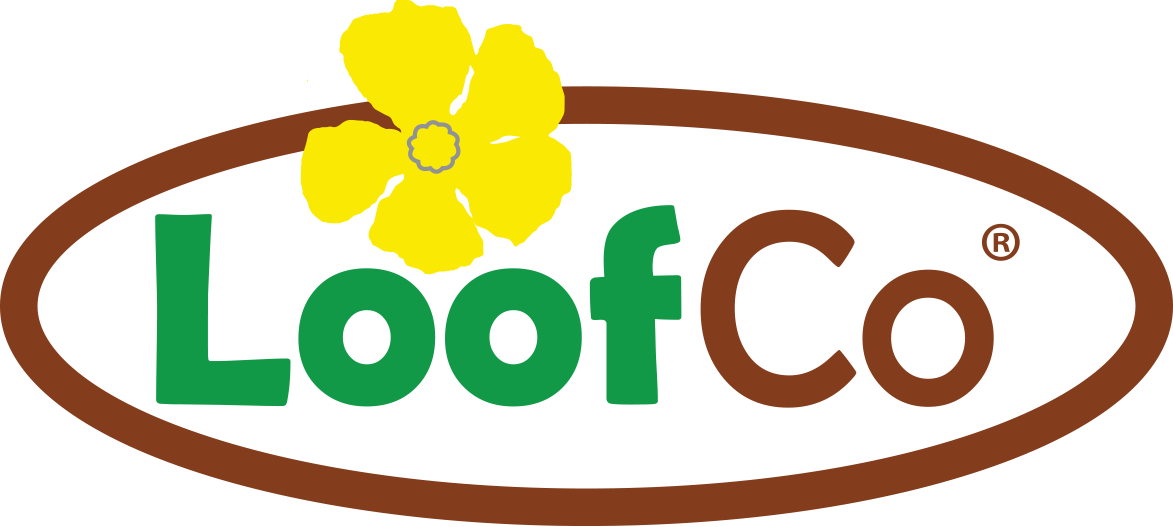 Saber Más - Saber Más (1173x527)