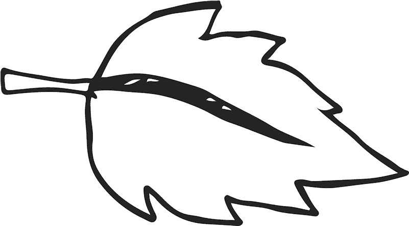 Birch Leaf Outline Rubber Stamp - Birch Leaf Outline Rubber Stamp (801x442)