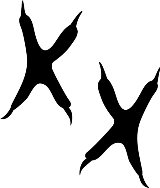 Owl Tracks Rubber Stamp Animal - Owl Tracks Rubber Stamp Animal (511x600)